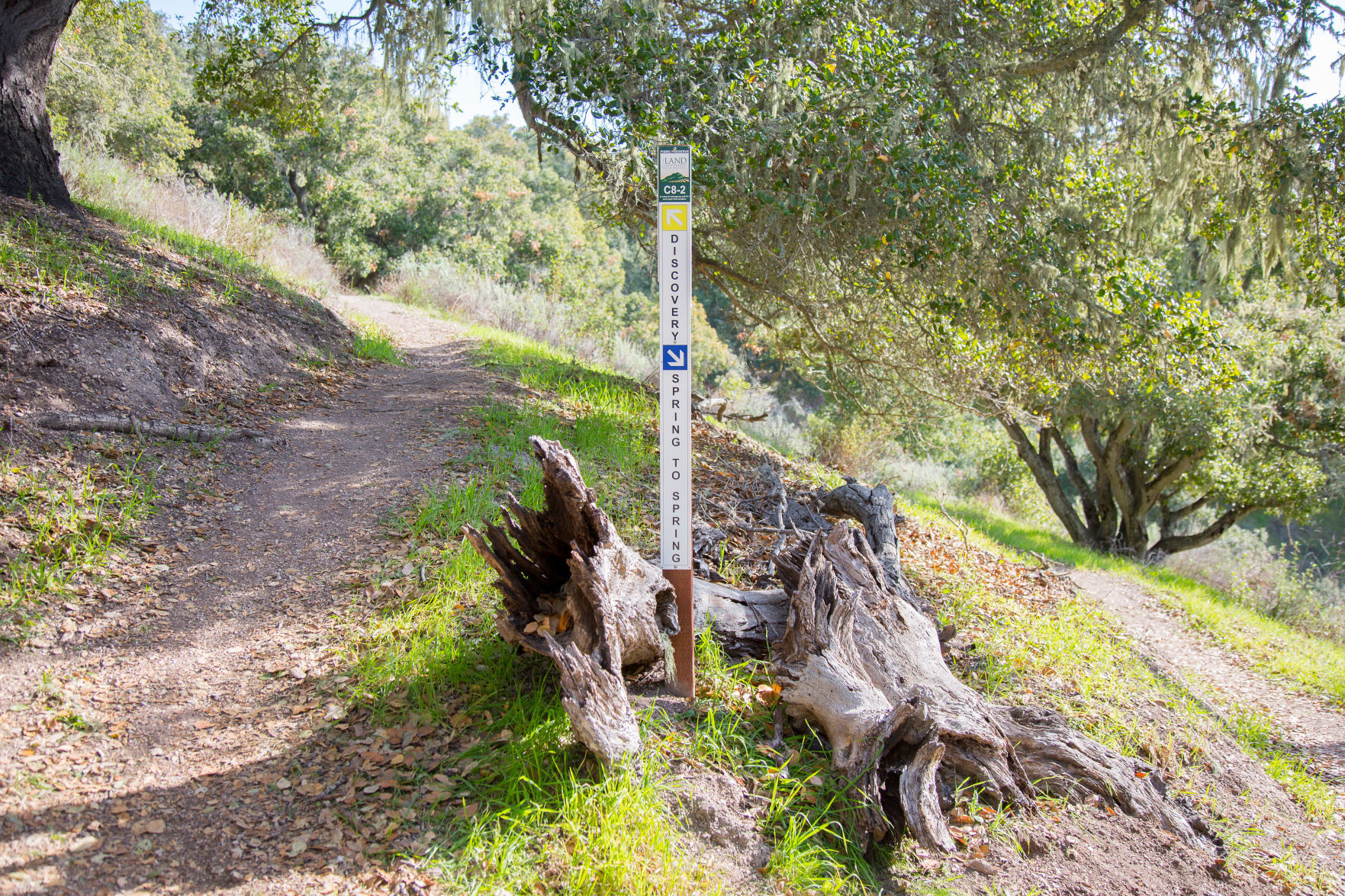 012520 Pismo Preserve 13.jpg